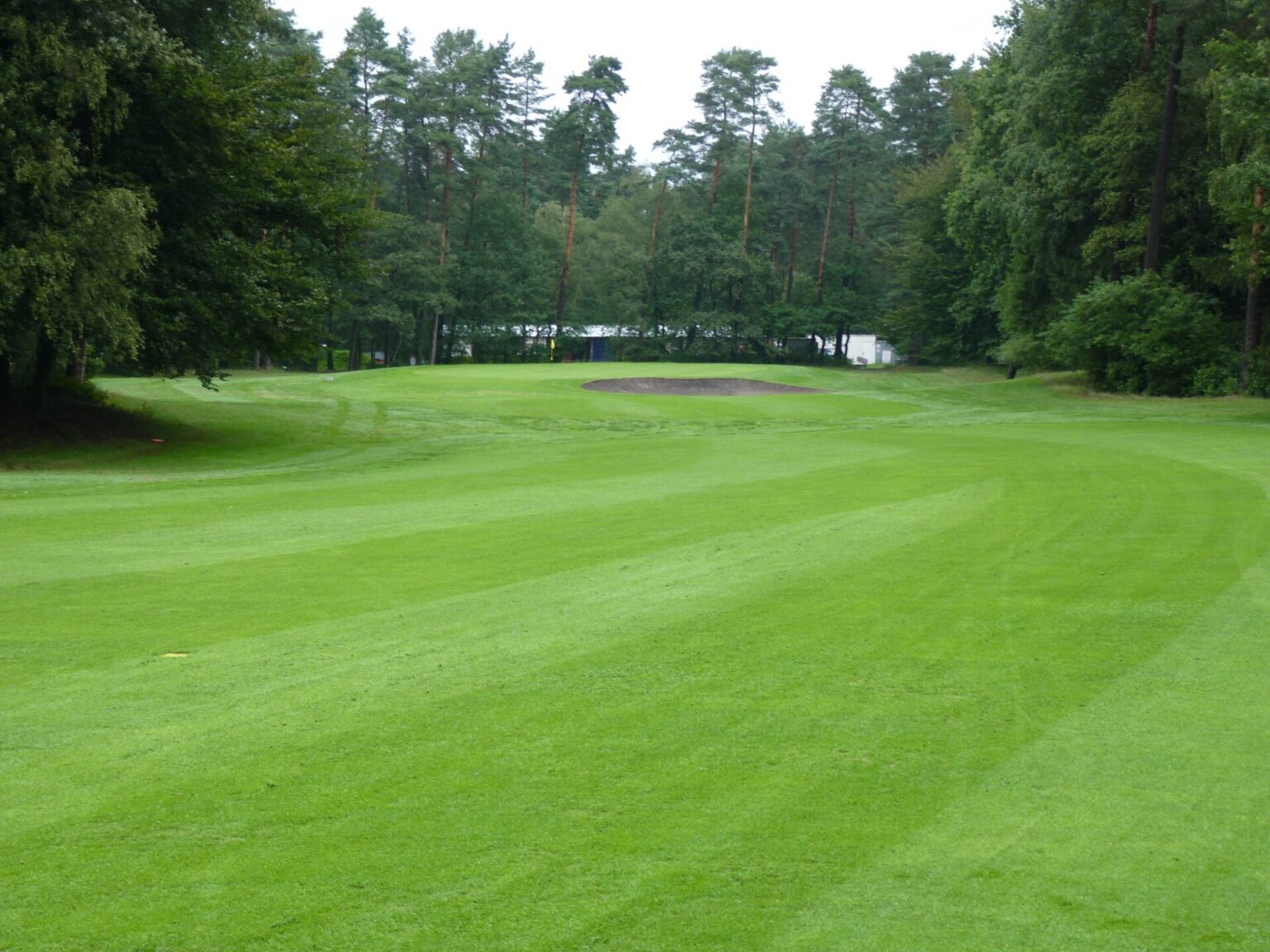 Golf Zone Fix